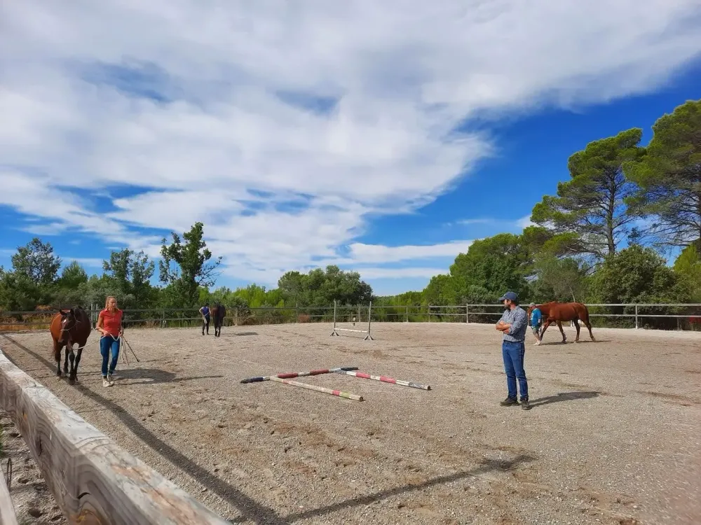 Enseignement équitation à Seillans